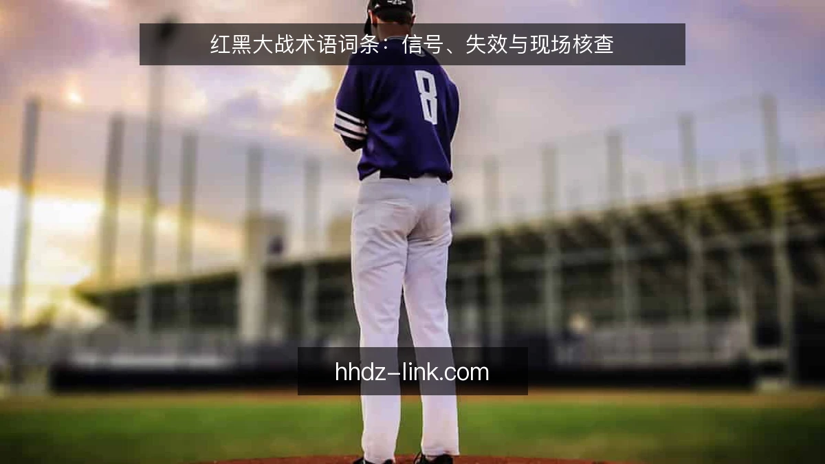 红黑大战术语词条：信号、失效与现场核查